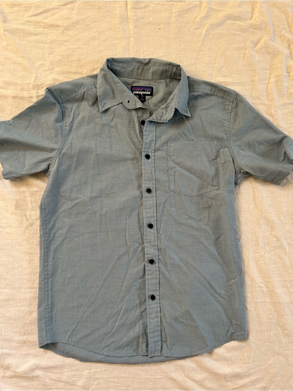 Patagonia Short-Sleeve Button-Down Shirt in Dusty Blue